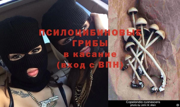 прущая мука Абинск