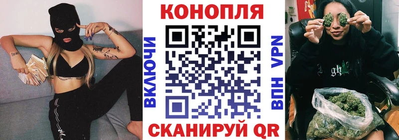 Шишки марихуана семена  KRAKEN   Прокопьевск 